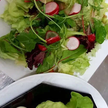 Hotwagner Hotel Maria Enzersdorf